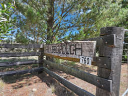 760 Wallaces Gap Road Braidwood NSW 2622