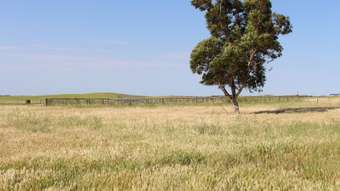 Farm Property for Sale - 5009 Billiatt Road Lameroo SA 5302