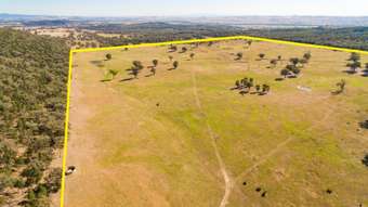 Farm Property for Sale - Lot 7 Part 'Lowanna' Frying Pan Gully Road Cowra NSW 2794