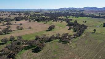 Farm Property for Sale - Talbragar, Bogolara Road Bookham NSW 2582