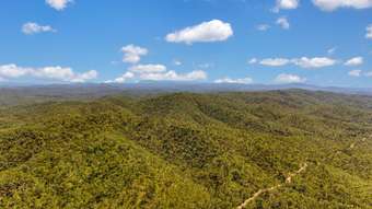 Farm Property for Sale - 25 Spena Road Mareeba QLD 4880