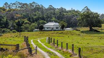 Farm Property for Sale - 474 Lismore Road Binna Burra NSW 2479