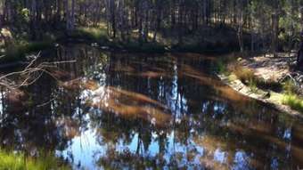 Farm Property for Sale -  Hendon Deuchar Road Deuchar QLD 4362