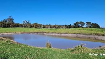 Farm Property for Sale - 1244 Dempster Road Kalgan WA 6330