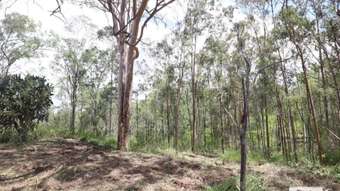 Farm Property for Sale - 56 Mountain Road Summerholm QLD 4341