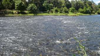 Farm Property for Sale - Camp Creek QLD 4871