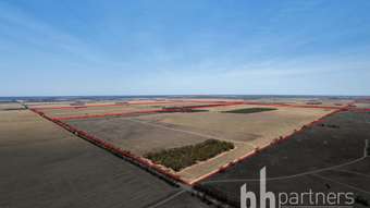 Farm Property for Sale - 244 Starick Road Cambrai SA 5353