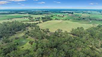 Farm Property for Sale - 174 Darcys Road South Purrumbete VIC 3260