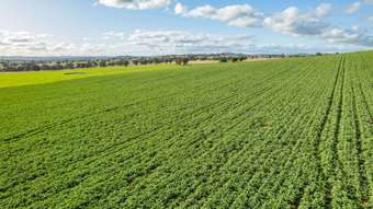 Farm Property for Sale - Woodstock NSW 2793