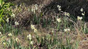 Farm Property for Sale - 4069 Armidale Road Bellbrook NSW 2440