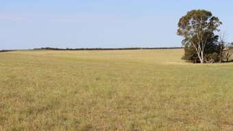 Farm Property for Sale - Lameroo SA 5302