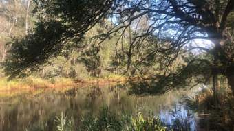 Farm Property for Sale - Lot 52 of  583 Maria River Road Crescent Head NSW 2440