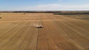 Farm Property for Sale - Allotment  New Well Road Waikerie SA 5330