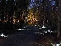 Farm Property for Sale - Good Night QLD 4671