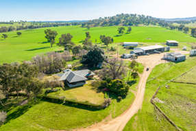 Farm Property for Sale -  DUNOON – Holbrook  Culcairn NSW 2660