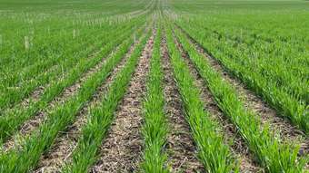 Farm Property for Sale - SOLD &amp; 12200 Great Eastern Hwy Cunderdin WA 6407