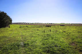 1790 Braidwood Road Tarago NSW 2580