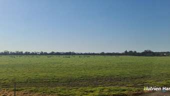 Farm Property for Sale - 63 Murdong Pools Road Ewlyamartup WA 6317