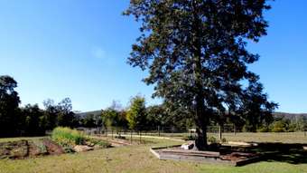 Farm Property for Sale - 438 Upper Rollands Plains Rd Rollands Plains NSW 2441