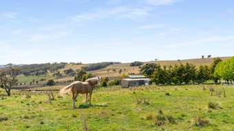 Farm Property for Sale - 123 Fisher Road Goulburn NSW 2580
