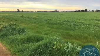 Farm Property for Sale - Lot 2 Union Road Invergordon VIC 3636