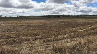 Farm Property for Sale - 768 Oakey-Pittsworth Road Aubigny QLD 4401