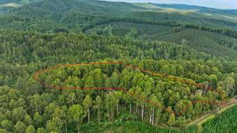 Farm Property for Sale - 30 Carlisle Valley Road Carlisle River VIC 3239