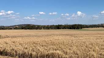 Farm Property for Sale - Westdale WA 6304