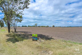 Farm Property for Sale - 12 Richmond Road Bowen QLD 4805