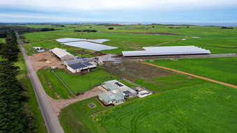 Farm Property for Sale - 2249 Great Ocean Road Nirranda South VIC 3268