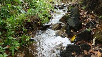 Farm Property for Sale - Bartle Frere QLD 4861