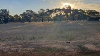 Farm Property for Sale - 4 Curlew Way Wickepin WA 6370