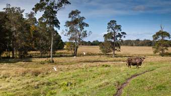 Farm Property for Sale - 212 The Manse Road Myocum NSW 2481