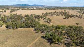 Farm Property for Sale - 334 Mount Olive Road Mount Olive NSW 2787