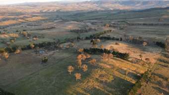 Farm Property for Sale - Lot 1 Oaky Creek Lane Vittoria NSW 2799