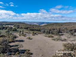 Farm Property for Sale - 388 Alps Road Bigga NSW 2583