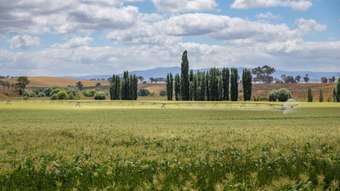 Farm Property for Sale - 324 Bidgeribbin Road The Lagoon NSW 2795