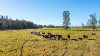 Farm Property for Sale - LOT 1 SEALE ROAD Verges Creek NSW 2440