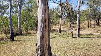 Farm Property for Sale - Lot 23 Leathers Road Boolboonda QLD 4671