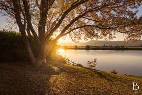 2 Southern Road Terara NSW 2540