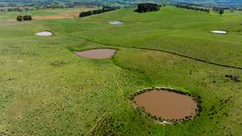 Farm Property for Sale - 242 Bundaleer Road Newbridge NSW 2795