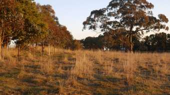 Farm Property for Sale - Browns Creek NSW 2799