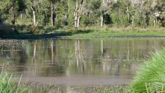 Farm Property for Sale - 400 Phillips Swamp Road Busbys Flat NSW 2469