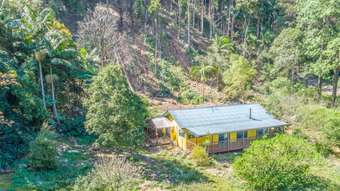 Farm Property for Sale - 130 Mill Road Huonbrook NSW 2482