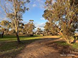 Farm Property for Sale - . Birnie Downs Bencubbin WA 6477