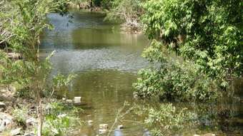 Farm Property for Sale - 494 Greend Road Glastonbury QLD 4570