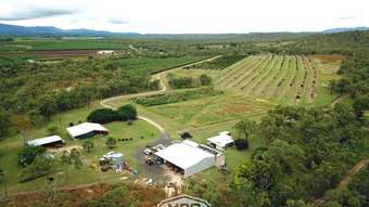 Farm Property for Sale - 208 George Fabris Road Mareeba QLD 4880