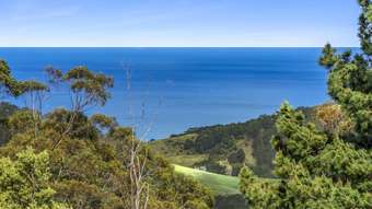 Farm Property for Sale - 675 Skenes Creek Road Skenes Creek North VIC 3233