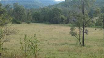 Farm Property for Sale - 400 Phillips Swamp Road Busbys Flat NSW 2469