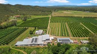 Farm Property for Sale - 733 Bilwon Road Biboohra QLD 4880